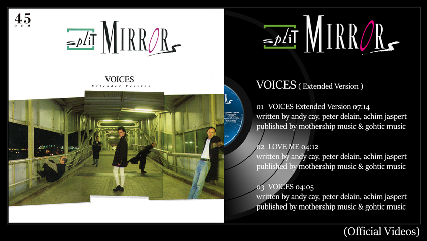 Voices (Extended Maxi Version)